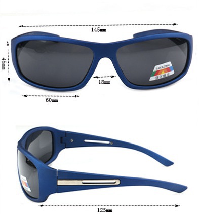 SFT-studio 81356    Polarized Glasses Tempo (,  1)
