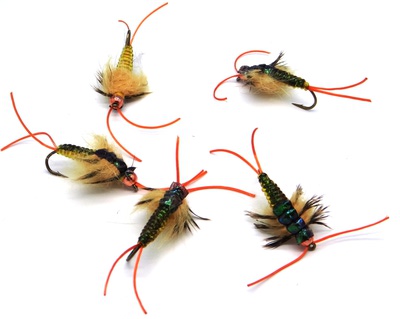 Pacific Fly Group 14421   Strolis Shimmer Stone Golden (,  1)