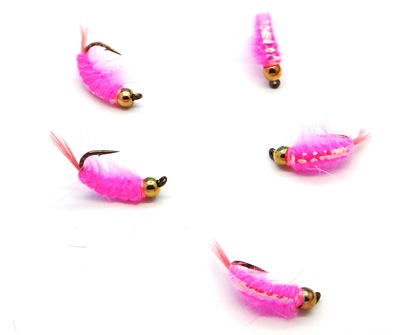 Pacific Fly Group 14443   Bead Scud Pink (,  1)