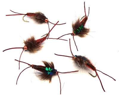 Pacific Fly Group 14444   Strolis Shimmer Stone Dk.Brown (,  1)