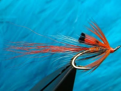 SFT-studio 53305   Golden Pheasant Tippet Section (,  1)