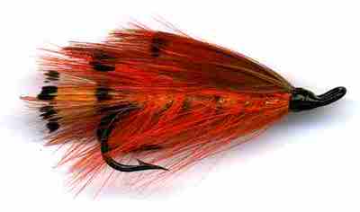 SFT-studio 53305   Golden Pheasant Tippet Section (,  2)