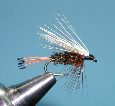 SFT-studio 53305   Golden Pheasant Tippet Section (,  4)