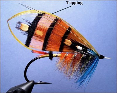 SFT-studio 53306    Golden Pheasant Topping Crest (,  1)