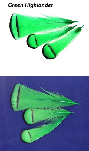 SFT-studio 53013     LADY AMHERST PHEASANT TIPPETS (,  1)