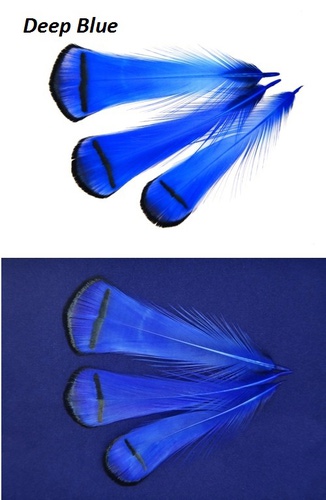 SFT-studio 53013     LADY AMHERST PHEASANT TIPPETS (,  4)