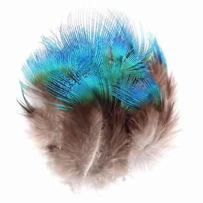 SFT-studio 53309   Peacock Blue Neck Feathers (,  1)
