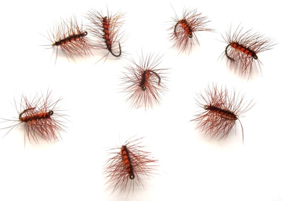 Pacific Fly Group 11101   Backcountry Crackle Back Orange (,  1)