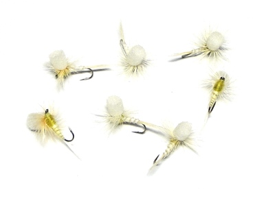 A.Jensen 11051   PMD Para Biot Body (,  1)