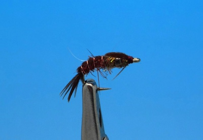 Pacific Fly Group 14462   Jon's Tungsten Thorax PT Brown (,  1)