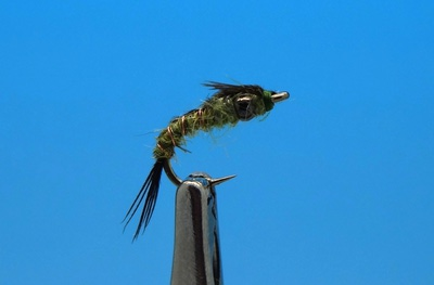 Pacific Fly Group 14463   Jon's Tungsten Thorax PT Olive (,  1)