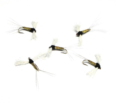 A.Jensen 11025   Poly Spinner BWO (,  1)