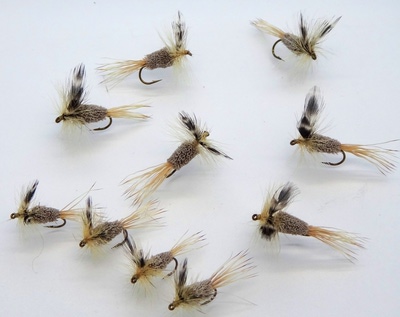 Pacific Fly Group 11089   Rat Faced McDougall (,  1)