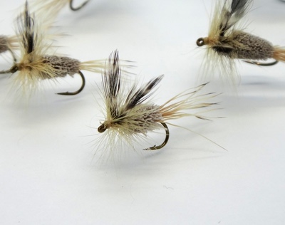 Pacific Fly Group 11089   Rat Faced McDougall (,  2)