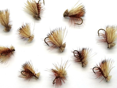 Pacific Fly Group 11121   Elk Hair Caddis Brown (,  1)