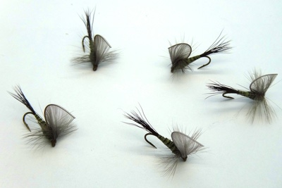 Pacific Fly Group 11092   Hackle Wing Mayfly Green Drake (,  1)