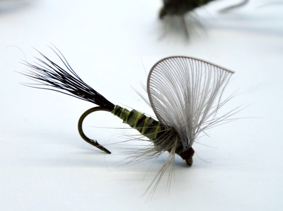 Pacific Fly Group 11092   Hackle Wing Mayfly Green Drake (,  2)