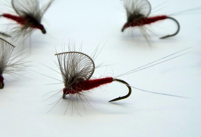 Pacific Fly Group 11096   Hackled Wing Mayfly Mahagony (,  2)