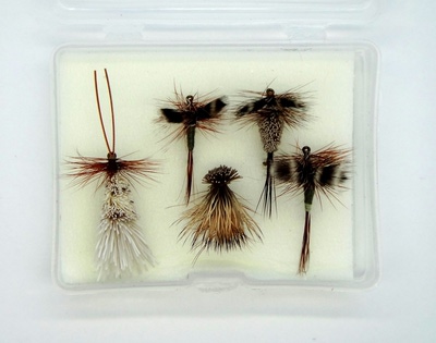 Pacific Fly Group 20080   Grayling Fly Set (,  1)