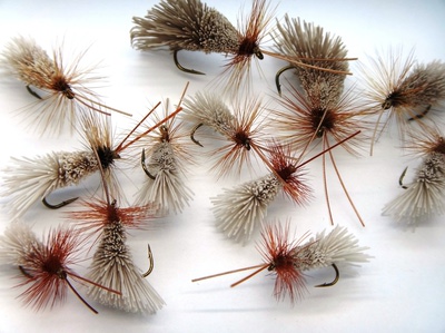 Pacific Fly Group 11100   Goddard Sedge (,  1)