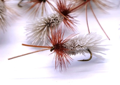 Pacific Fly Group 11100   Goddard Sedge (,  2)