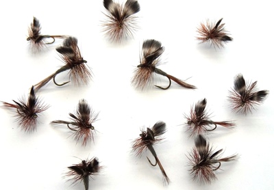 Pacific Fly Group 11123   Adams (,  1)