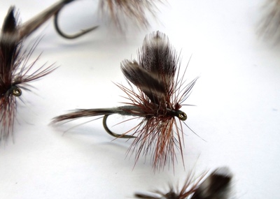Pacific Fly Group 11123   Adams (,  2)