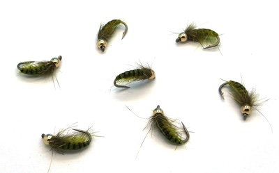 Mikkus & Caddis 14517   Striped On A Rock Olive (, Mikkus & Caddis Striped On A Rock Olive)