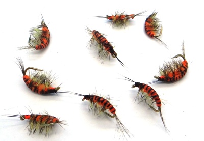 SFT-studio 14035    Freshwater Shrimp Orange Striped (,  1)