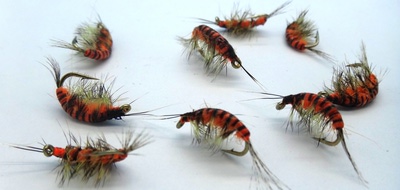 SFT-studio 14035    Freshwater Shrimp Orange Striped (,  2)