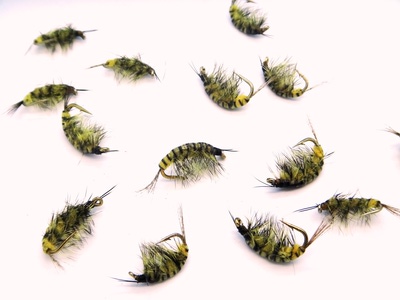 SFT-studio 14030 Мушка имитация бокоплава Freshwater Shrimp Golden Olive Striped (вид 1) SFT-studio 14030 Мушка имитация бокоплава Freshwater Shrimp Golden Olive Striped (фото, вид 1)