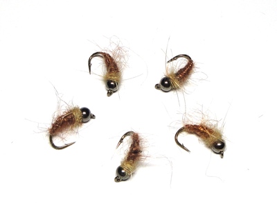 A.Jensen 14068   BH Caddis Pupa - Cinnamon (,  1)