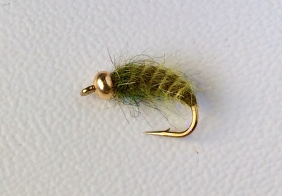 Mikkus & Caddis 14233     BH Fluffy Caddis Larva Dark Olive (,  1)
