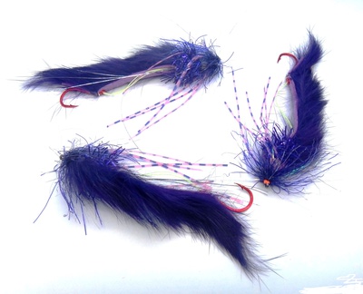 SFT-studio 16012   String Leech Purple (,  1)