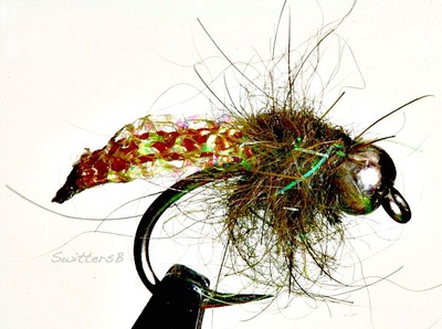 Royal Sissi 52215     Midge Diamond Braid (,  17)
