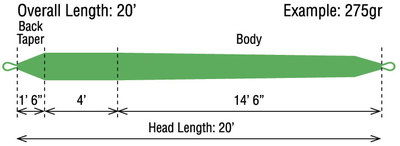 Rio 10329   Skagit Short Head (,  1)