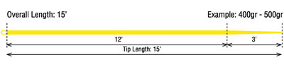 Rio 10330   Skagit 15ft Floating Tip (,  1)