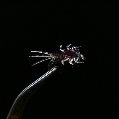 Royal Sissi 58356  Mayfly Nymph Body Set (,  10)