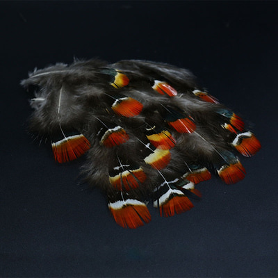 Royal Sissi 53316   Lady Amherst Pheasant Feather Set (,  1)