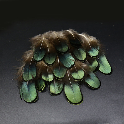 Royal Sissi 53316   Lady Amherst Pheasant Feather Set (,  2)