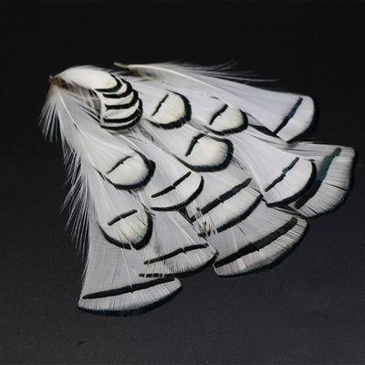 Royal Sissi 53316   Lady Amherst Pheasant Feather Set (,  3)