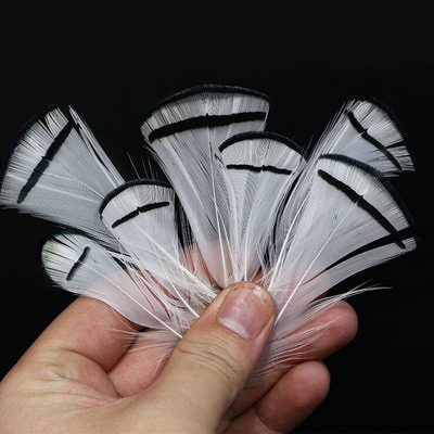 Royal Sissi 53316   Lady Amherst Pheasant Feather Set (,  6)