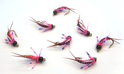 SFT-studio 14045   BH Prince Nymph Rubber Leg Pink (,  1)