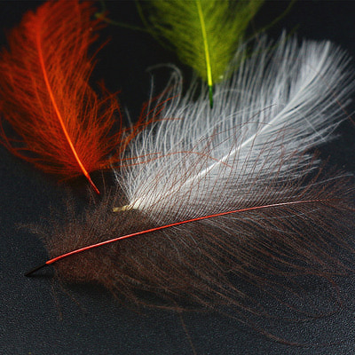 Royal Sissi 53318   Cul-de-Canard Feather(CDC) (,  5)