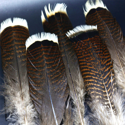 Royal Sissi 53321   Turkey Tail Feathers (,  1)