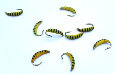 Mikkus & Caddis 14243   Ibis Fly Larva Olive/Yellow (,  1)