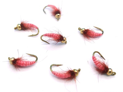 Mikkus & Caddis 14218    GH Caddis Larva Bloody Pink (,  1)