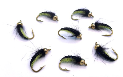 Mikkus & Caddis 14219    GH Caddis Larva Black Back Cream (,  1)