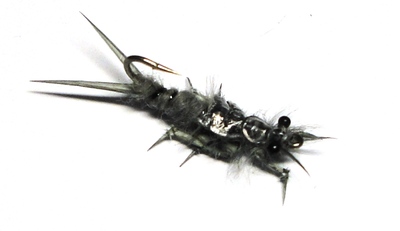 Artflies 14001    Realistic Black Stonefly Nymph (,  1)