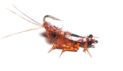 SFT-studio 14003    Mayfly Crauler (,  1)